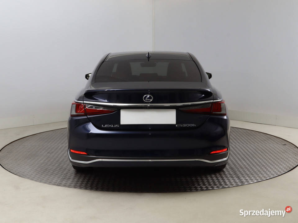 Lexus ES 300h Bielany Wrocławskie