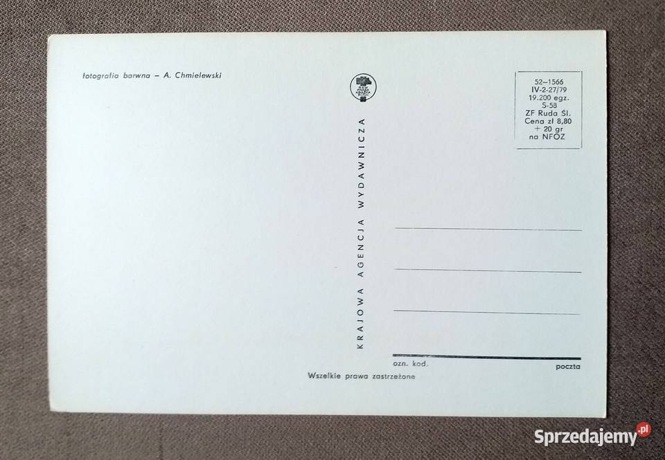 BUKIET PIĘCIU RÓŻ FOT CHMIELEWSKI lubelskie Piszczac sprzedam