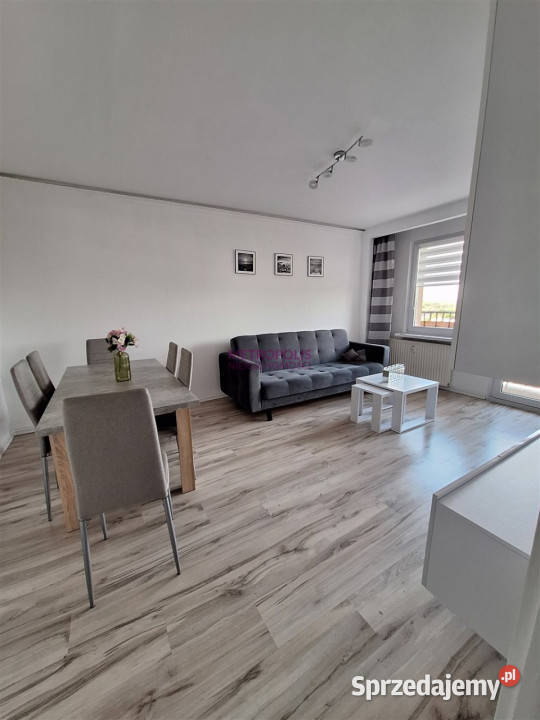 Mieszkanie Rybnik 50m2 2 pok Wynajem śląskie