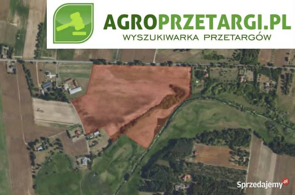 Dzierżawa 1284 ha gruntu rolnego Kampinos sprzedam