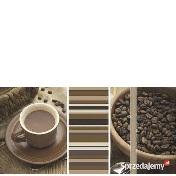 Vivida bianco Inserto Cafe A 30 x 60 Paradyż Białogard