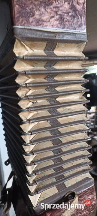 Akordeon Instrumenty klawiszowe i MIDI Rokietnica