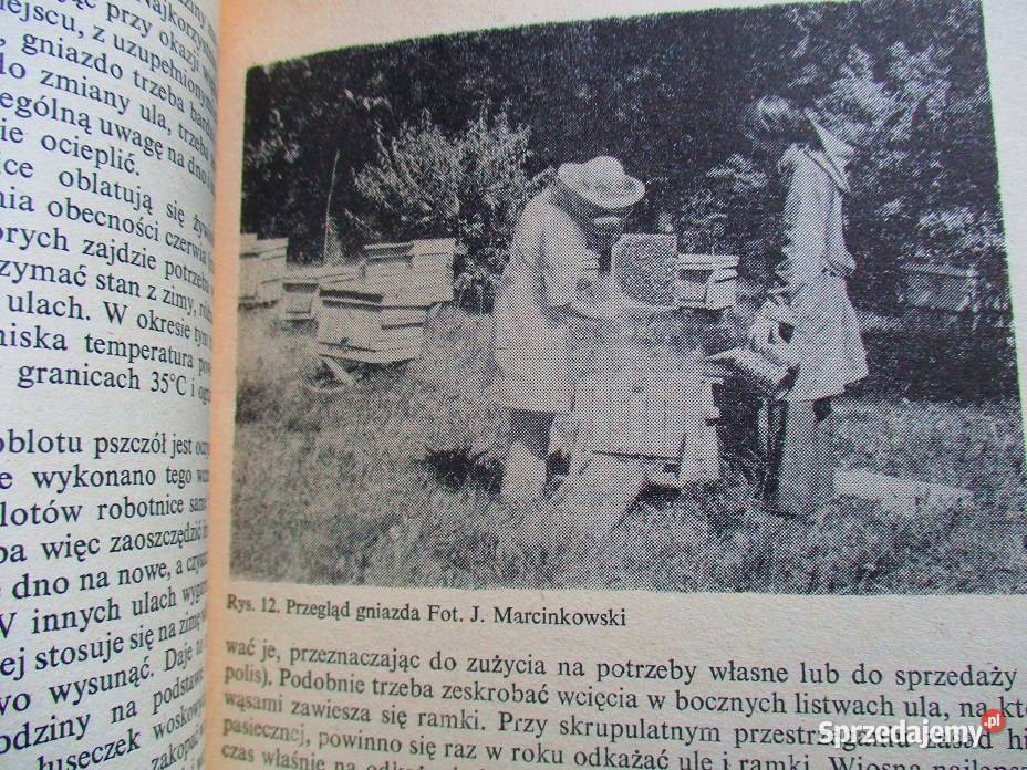 Hodowla pszczół Encyklopedia pszczelarska Łódź