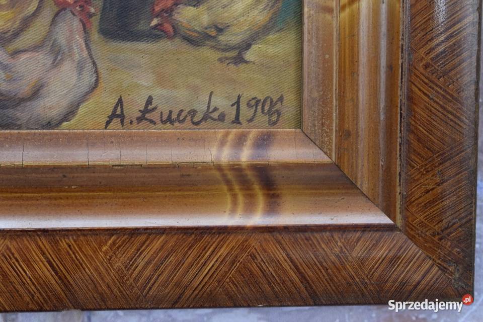 A Łuczko 1906 Kury Koguty Zagroda Wieś Farma małopolskie Kraków