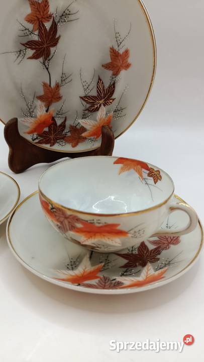 Dwa razy trio jesienne liście azjatycka lubelskie Zamość