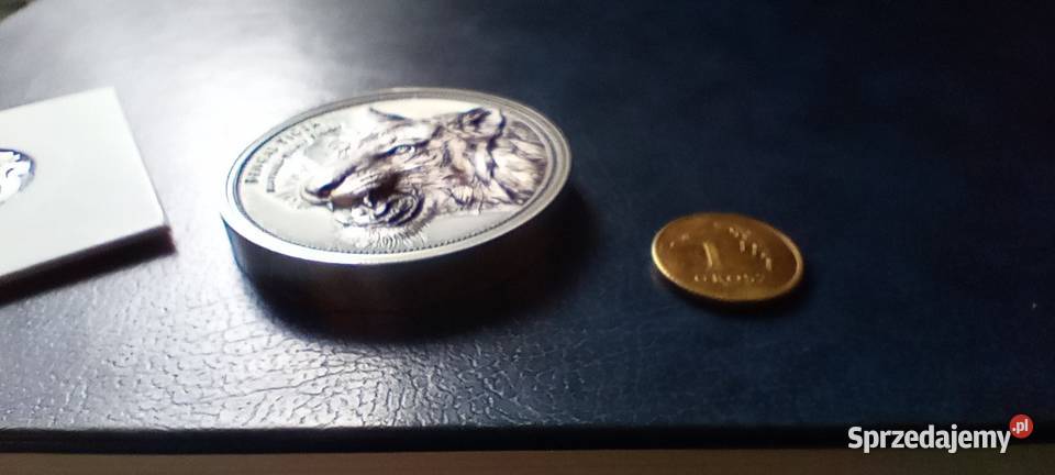 Stare monety Medal 237 Lesko
