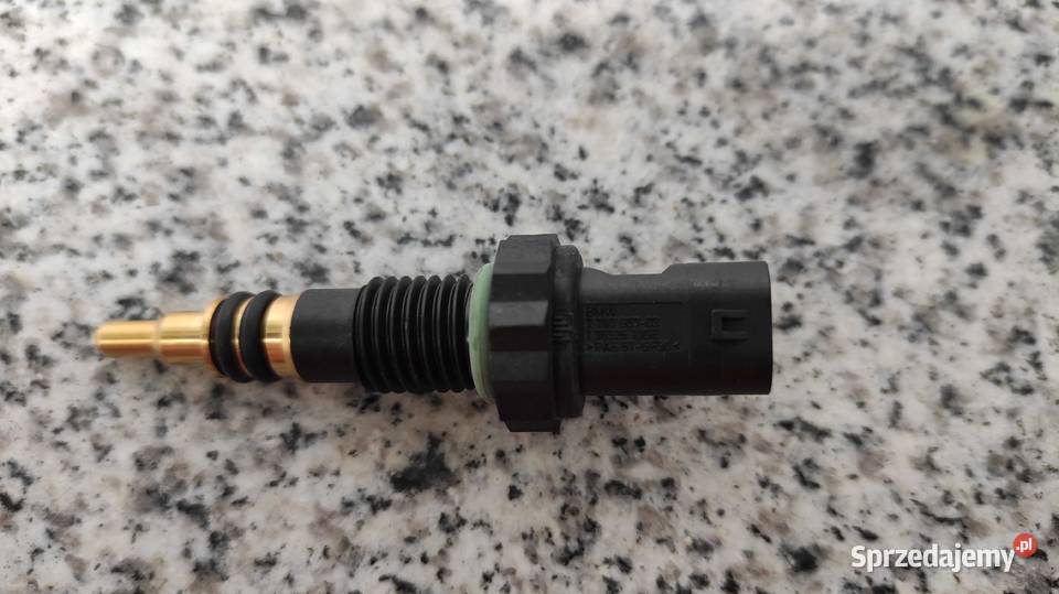 czujnik temperatury wody Polska Nowa Wieś