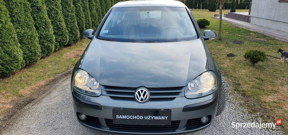 Volkswagen Golf 16 FSI Klima Bez Korozji Cyców