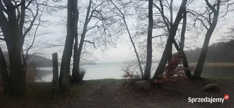 Syndyk sprzeda prawo własności nieruchomości Warzenko