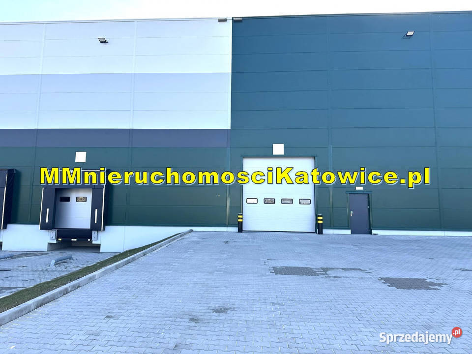Centrum dystrybucyjne magazyny do wynajęcia 10604m2 sprzedam