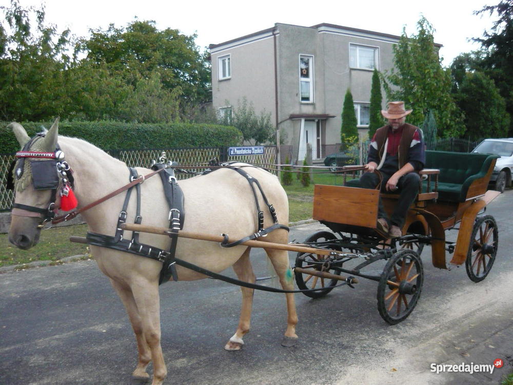 Bryczka konna Kluczbork sprzedam