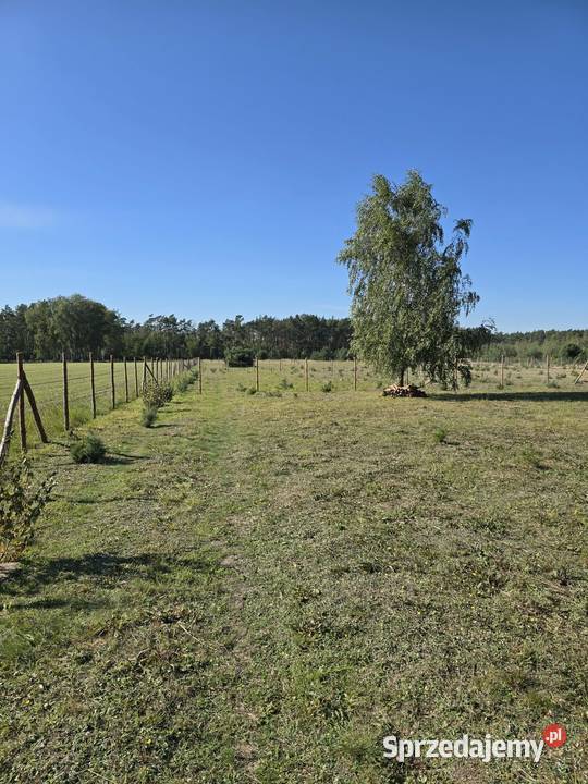Sprzedam działkę 3211m2 Narty sprzedam