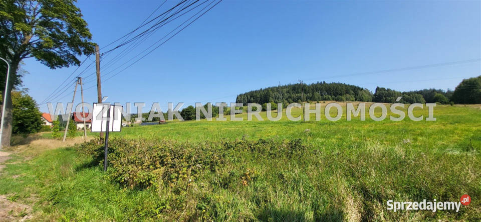 Do sprzedaży działka 3109m2 Grzędy Górne