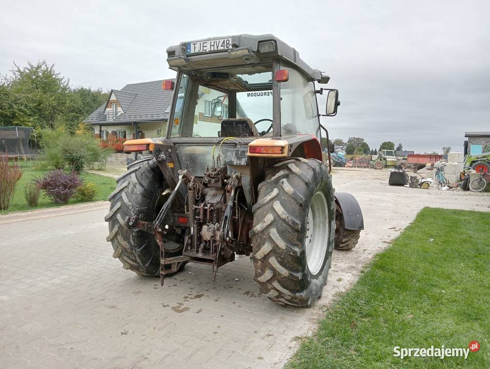 Massey Ferguson 3065 Massey Ferguson świętokrzyskie Ślęcin