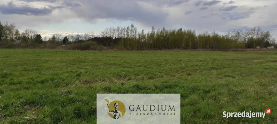 działki w Drewnicy Drewnica