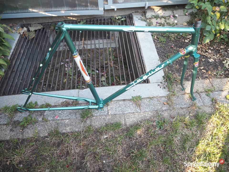 Rama roweru szosowego JAGUAR ZZR rozmiar 570 z Rowery i akcesoria Warszawa