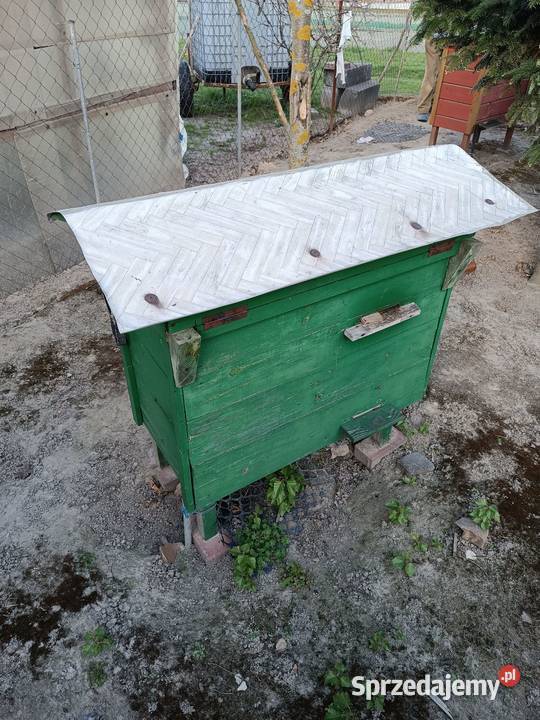 Ule warszawskie Pszczelarstwo Kielce