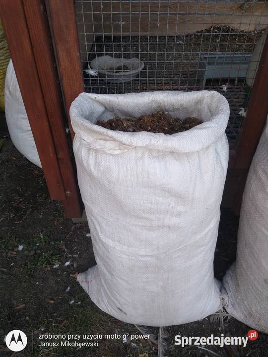 Nawóz naturalny Obornik gołębi Wieluń