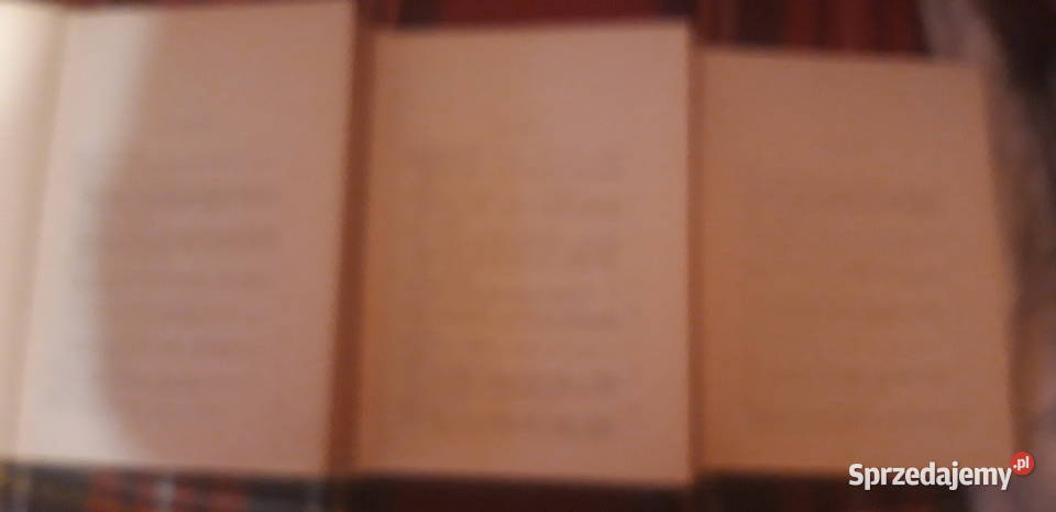 Kultura Ludowa Wielkopolskit13 Pń 1960 całość Iwno