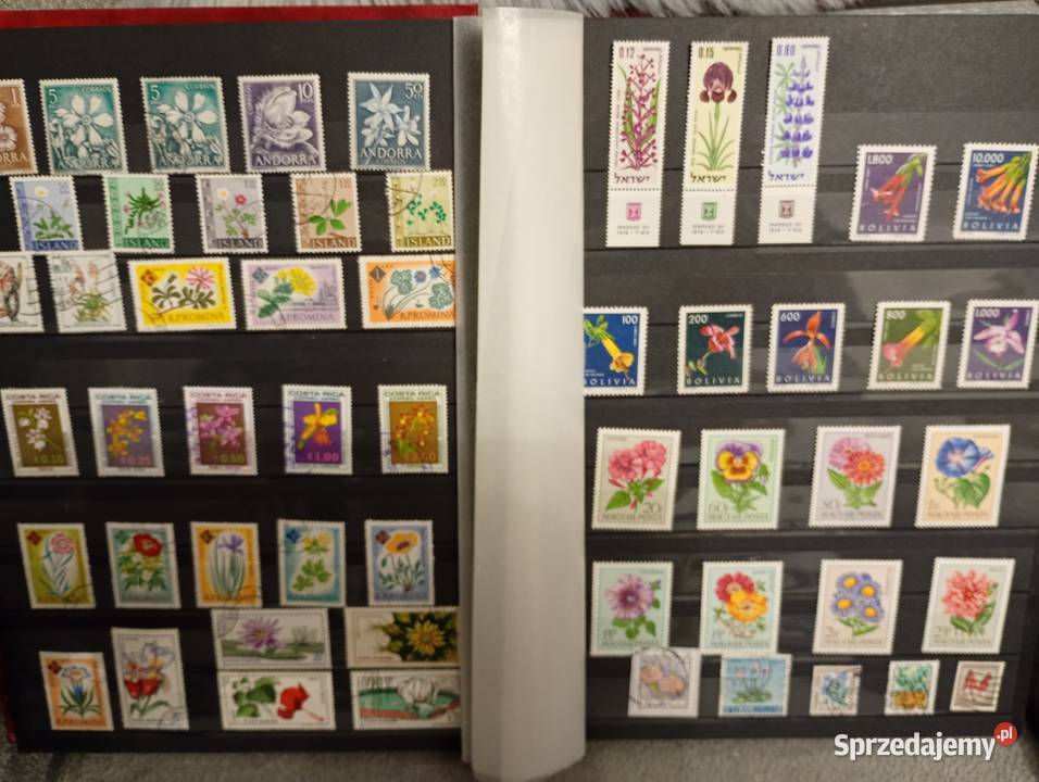 Duży album klaser ze starymi znaczkami Filatelistyka łódzkie Łowicz sprzedam