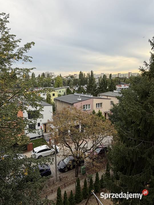 STARE BIELANY 4453 m 2 POKOJE CEGŁA 33 WIDOK NA Liczba pokoi 2 Sprzedaż Warszawa sprzedam