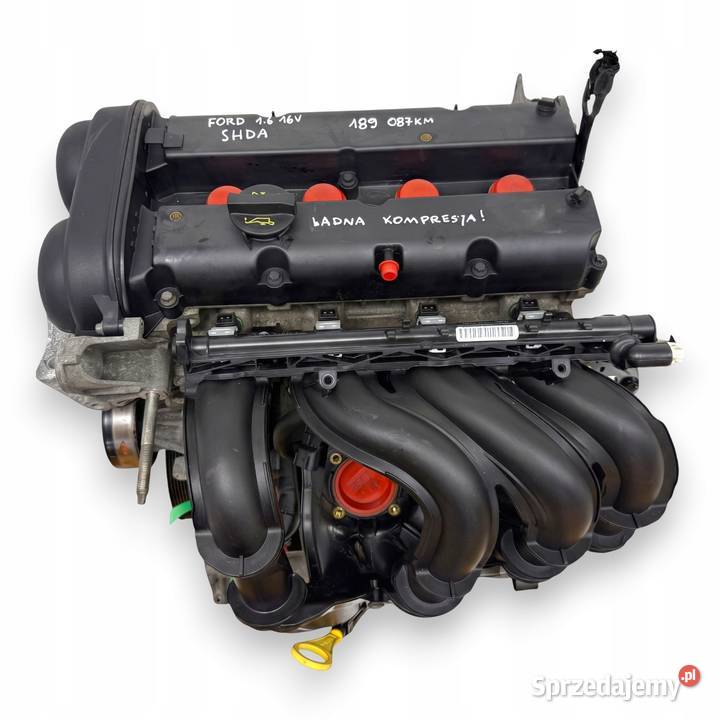SILNIK SHDA Ford Focus II MK2 C C 16 16V 100 Chełm