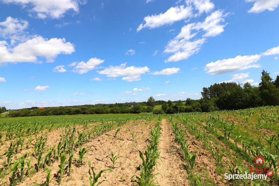 Działka 1100m2 Rożyńsk Wielki budowlana sprzedam