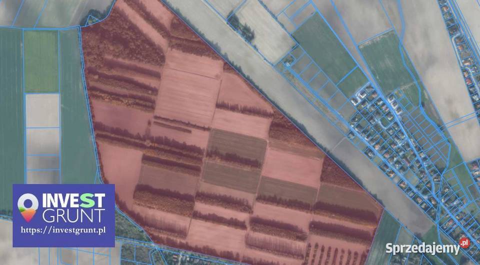 4291 ha przetarg na dzierżawę gruntów rolnych 429100m2 Tarnowo Podgórne