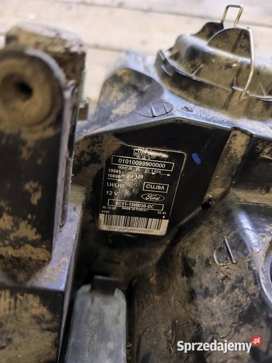 Ford transit lampy wielkopolskie