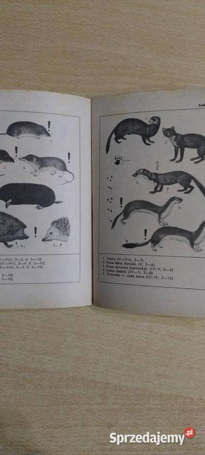 Poradnik młodego przyrodnika ISBN 8302023868 lubelskie Lublin