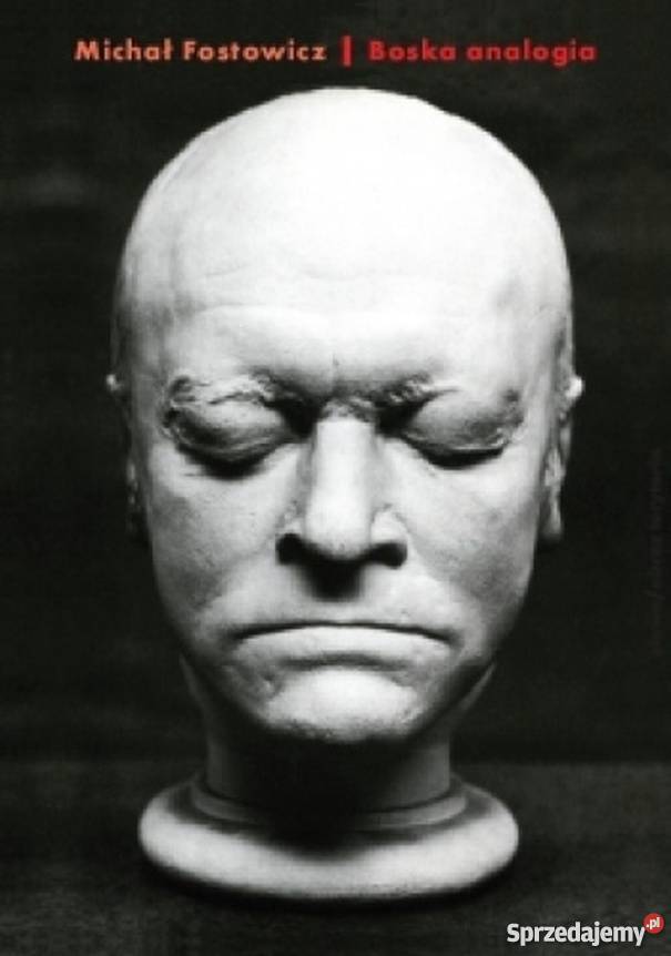 BOSKA ANALOGIA WILLIAM BLAKE A SZTUKA Wrocław sprzedam