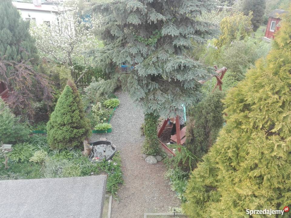 Sprzedam działke rekreacyjną w Szałe wielkopolskie