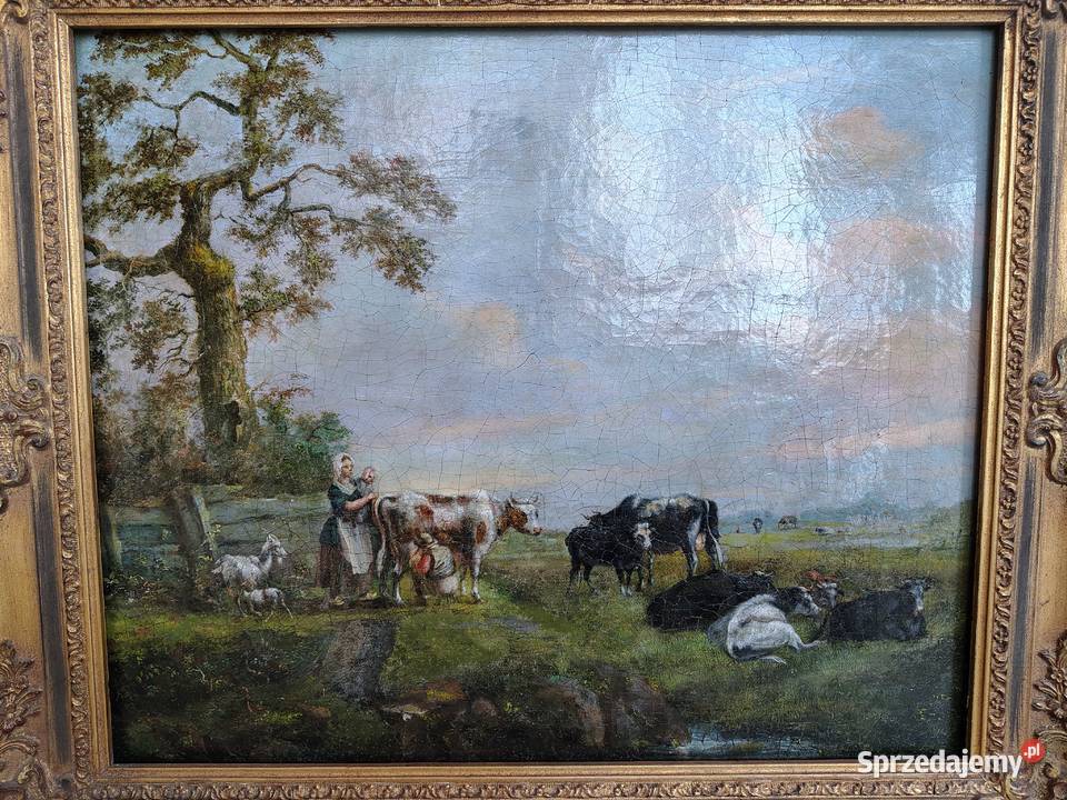 Stary obraz Krowy Kartuzy