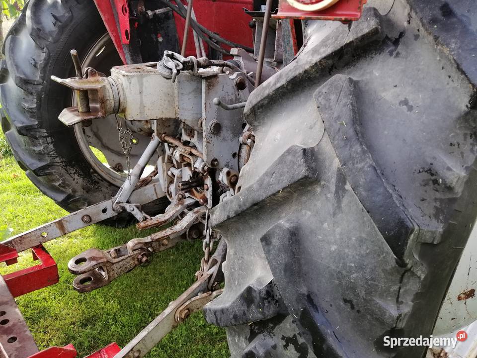Massey Ferguson 255 z turem Bogoria