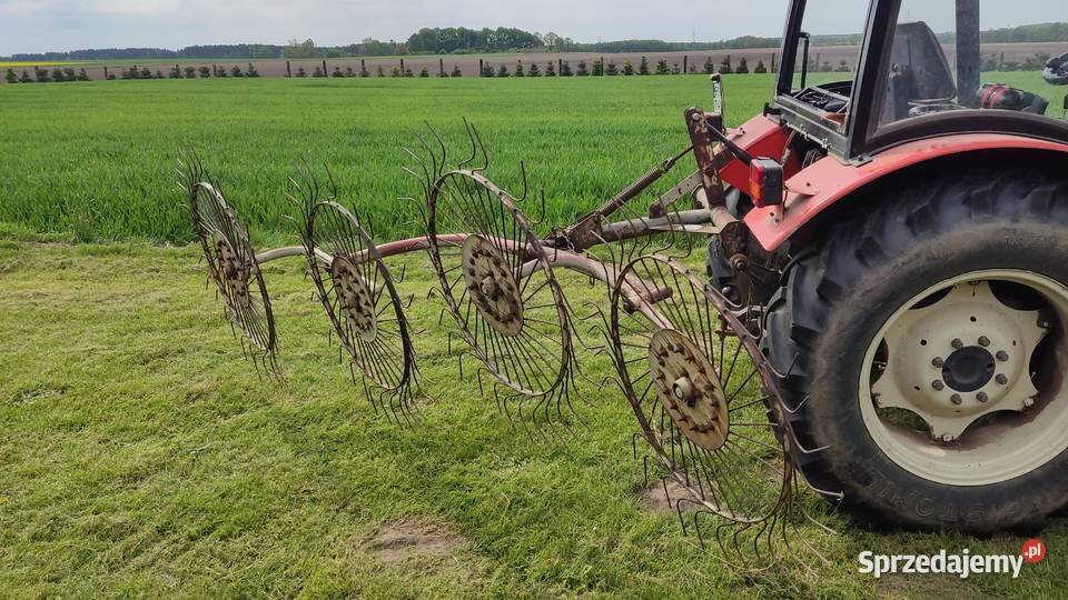 Rozsiewacz Amazone Podgaje