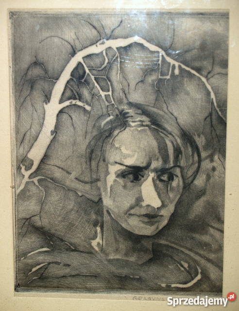 Agfaforta Grażyny Blicharz Pogórska Wola sprzedam