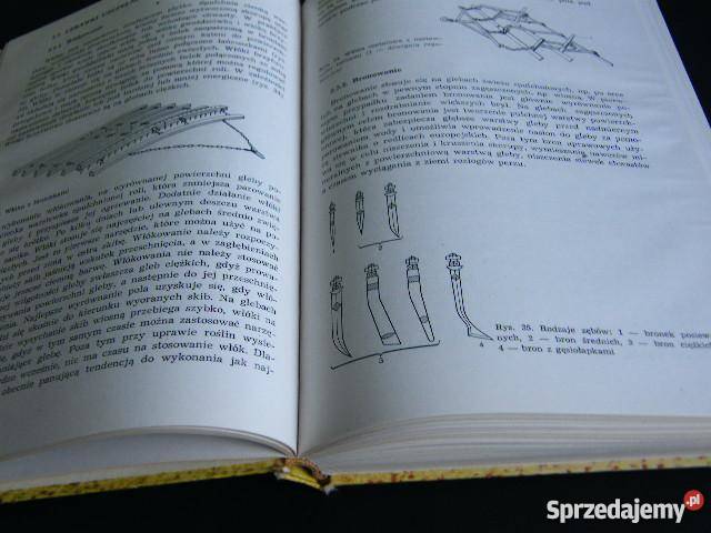 OGÓLNA UPRAWA ROLI I ROŚLIN fa rolnictwo, nauki rolnicze Goleniów