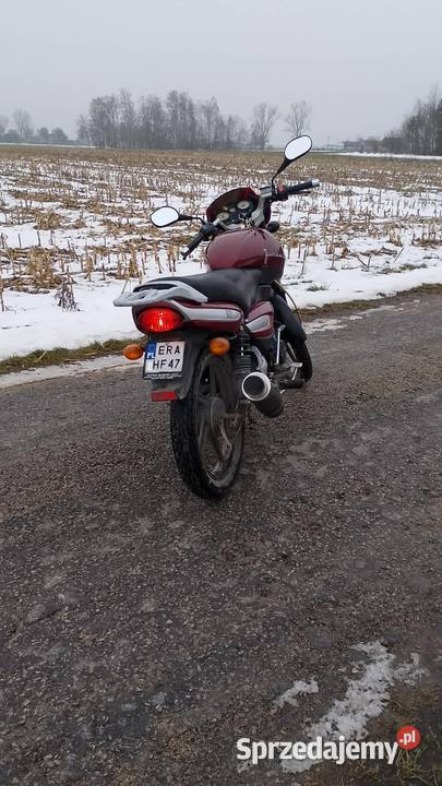 Sprzedam Junak 901 Wola Blakowa