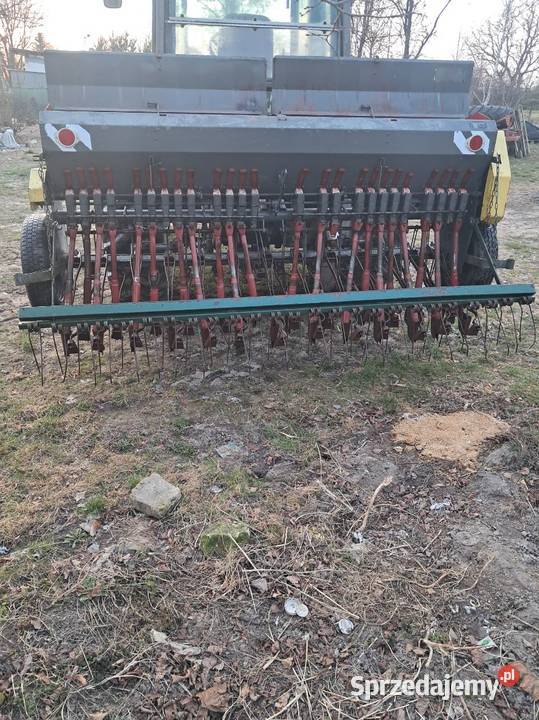 Siewnik poznaniak lubelskie Krupe