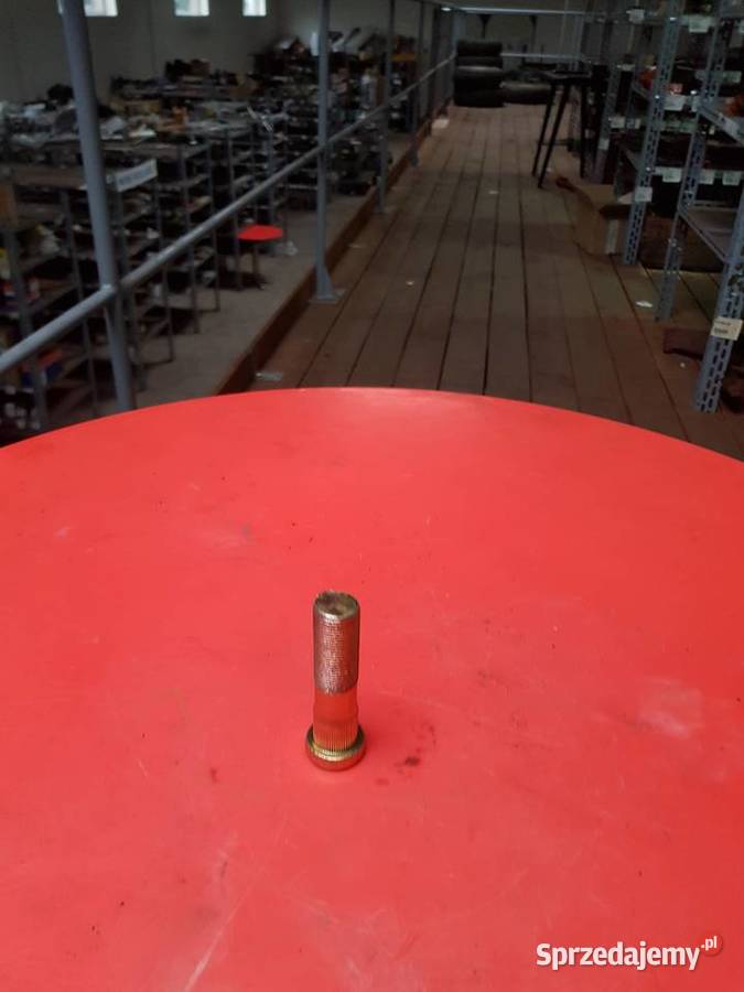 6011010010 Szpilka koła PRZYCZEPA D50 lubuskie Sulechów
