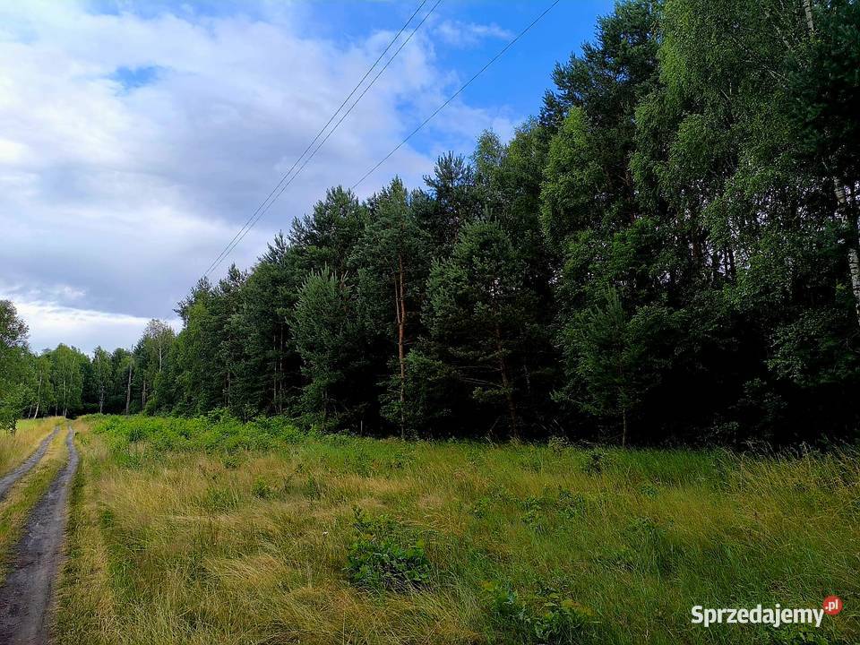 Działka budowlana Tumlin Osowa 2480m2 gmina 179zł/m2 Tumlin-Osowa