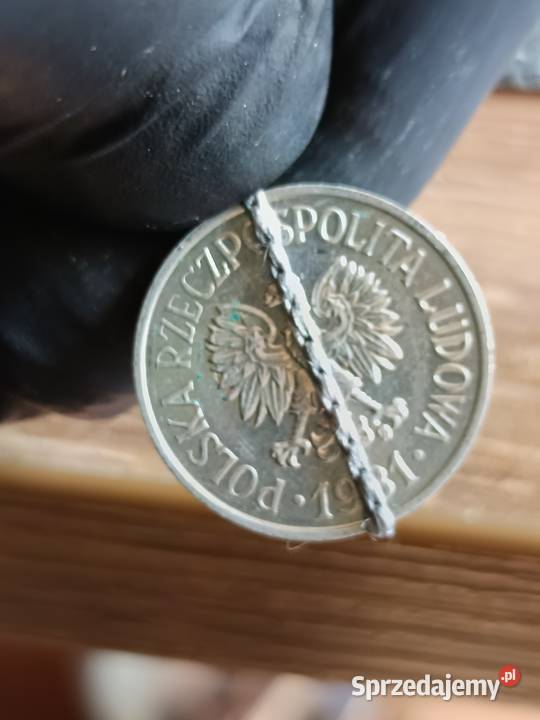 Sprzedam monete 20 groszy 1981 skretka Chełm