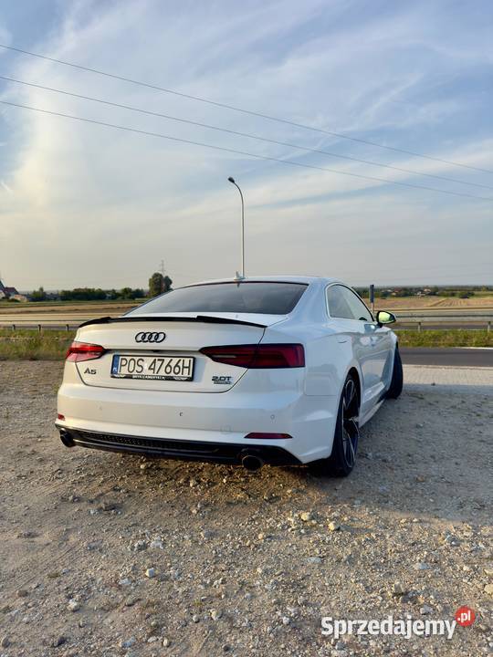 Audi A5 Coupe 2018 Quattro SLine wielkopolskie