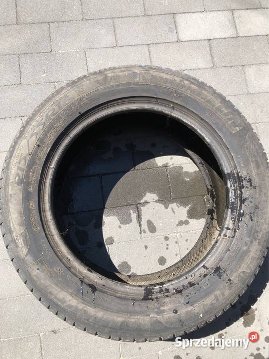 Opony Michelin primacy hp 2155516 Kup