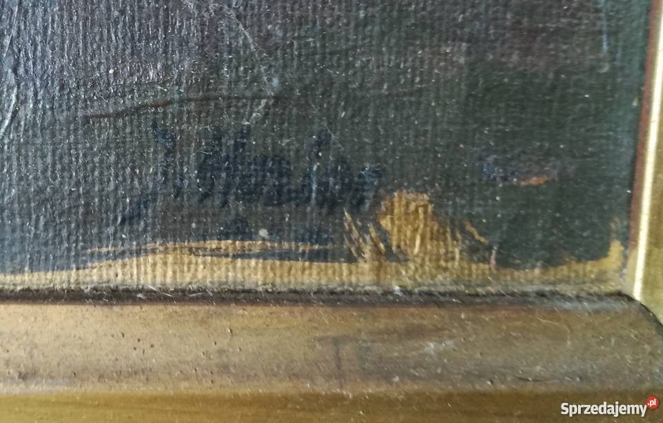 Obraz olejny W HASIOR Portret psa Kraków