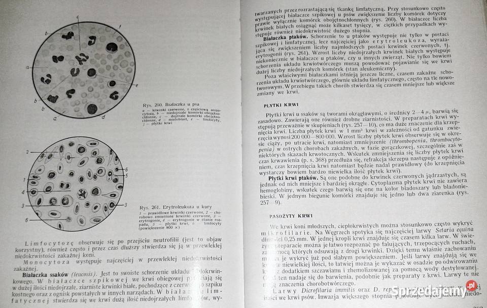 Weterynaryjna diagnostyka kliniczna Janos Mocsy miękka z obwolutą Pozostałe lubelskie