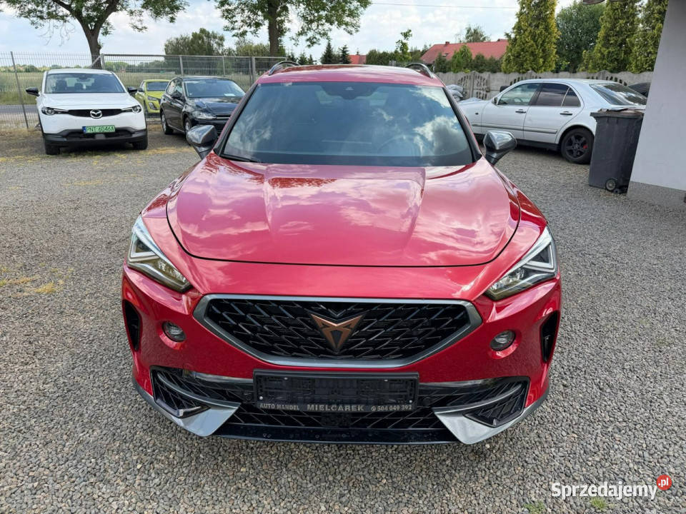 Cupra Formentor hybryda plugin VZ zarejestrowana