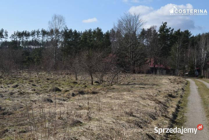 Sprzedaż gruntu Parchowo 1218m2