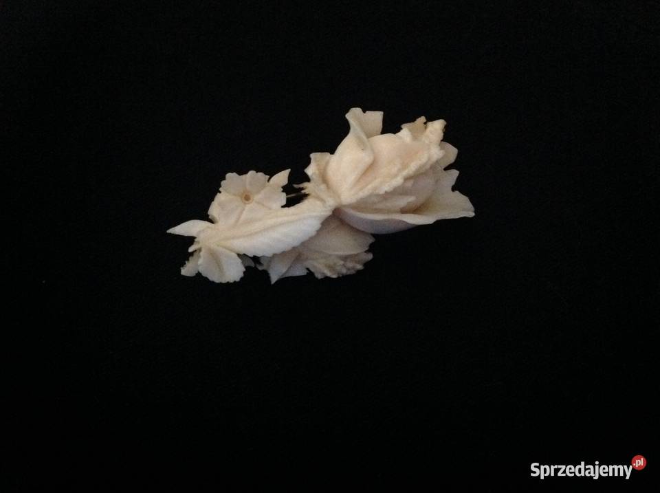 Stara Broszka z Kości lubuskie sprzedam