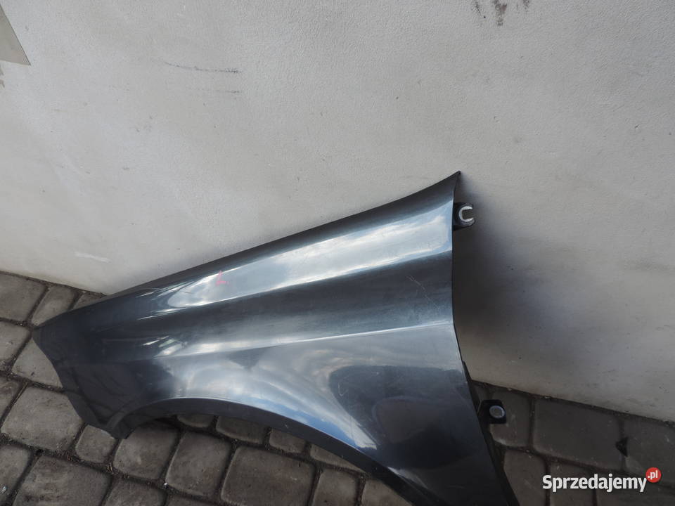 RENO LAGUNA 2 II BŁOTNIK LEWY PRZEDNI TEB66 małopolskie Nowy Sącz